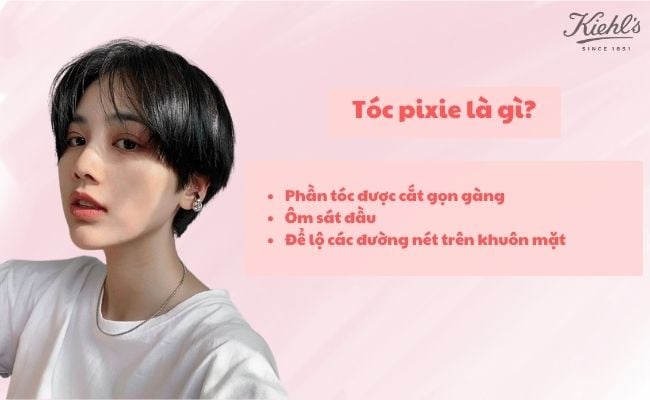  Tóc pixie là gì