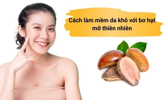 Cách làm mềm da khô với bơ hạt mỡ thiên nhiên