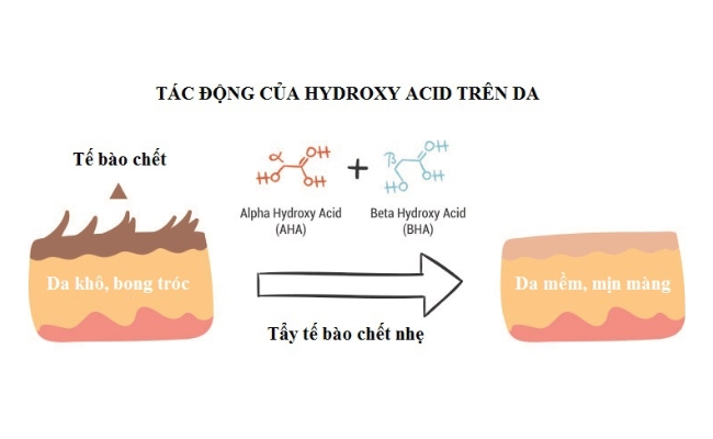 Cơ chế hoạt động của Glycolic Acid Glycolic Acid có khả năng tẩy tế bào chết trên da tốt hơn các loại acid khác cùng họ
