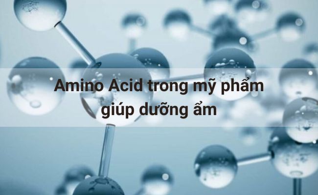 Amino Acid trong mỹ phẩm giúp dưỡng ẩm