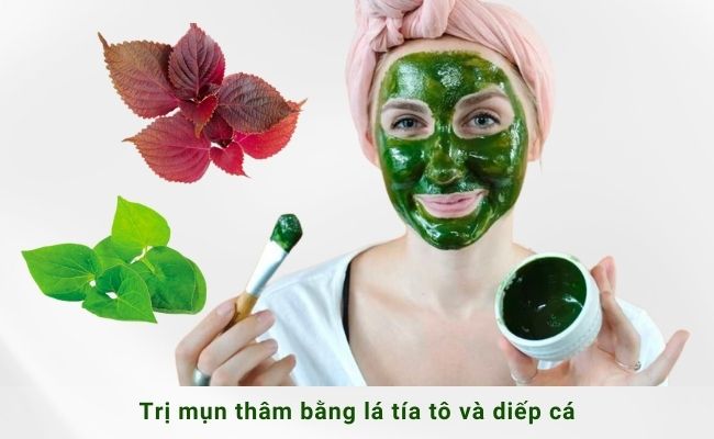 7 Cách trị mụn thâm bằng lá tía tô đơn giản, hiệu quả tại nhà