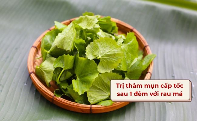 Trị thâm mụn cấp tốc sau 1 đêm với rau má