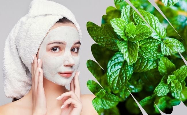 Dùng lá bạc hà để trị mụn