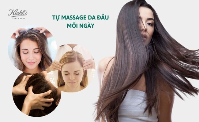 15 Cách mọc tóc nhanh tại nhà trong 1 tuần