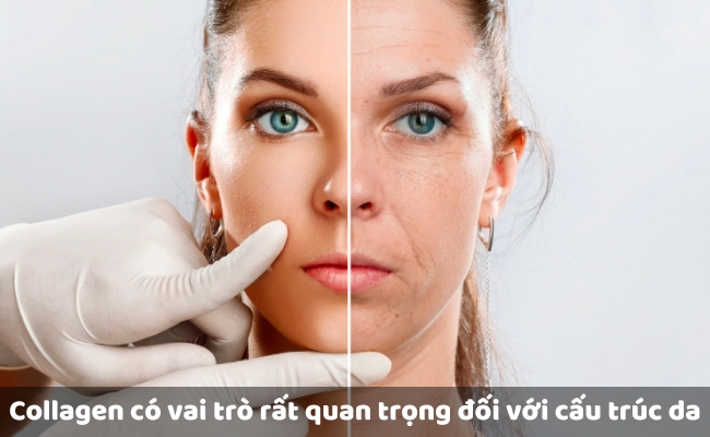 Vai trò của Collagen với sức khỏe cơ thể, làn da