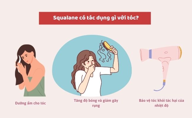 Squalane có tác dụng gì với làn da và tóc?