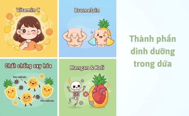 Thành phần dinh dưỡng nổi bật trong dứa