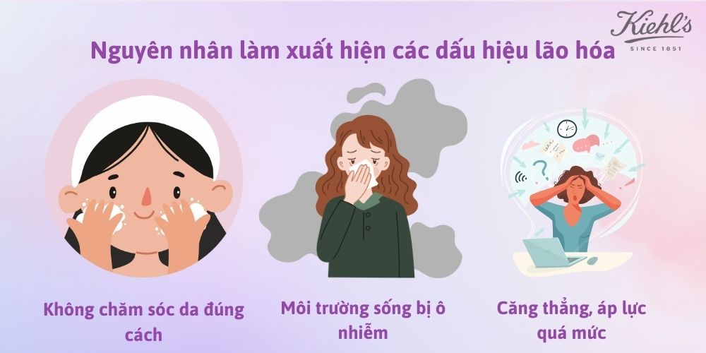 Nguyên nhân làm xuất hiện các dấu hiệu lão hóa