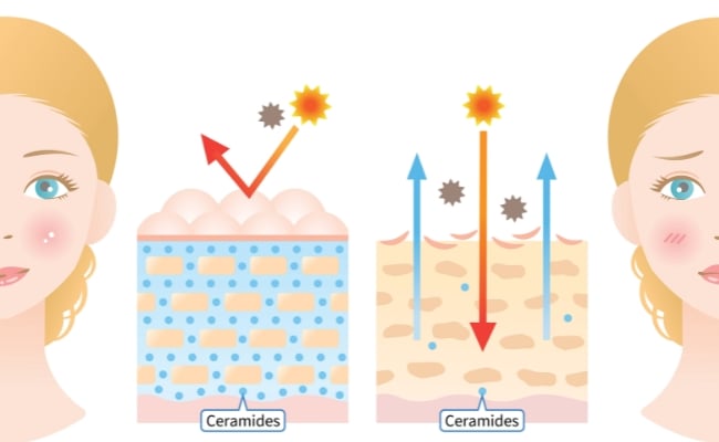 Cơ chế hoạt động của Ceramide Ceramide hoạt động như thế nào?
