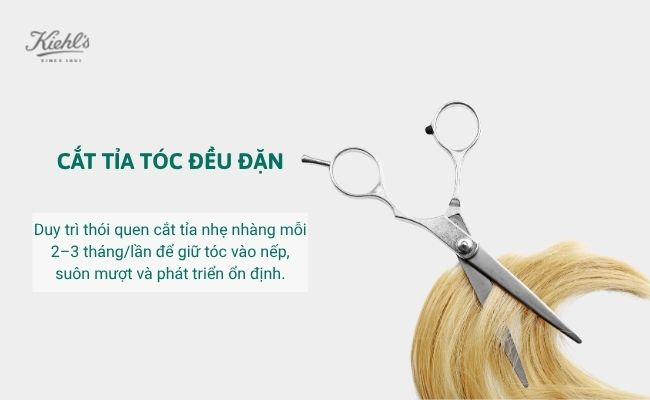 15 Cách mọc tóc nhanh tại nhà trong 1 tuần