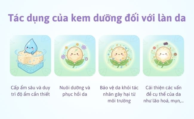 Tác dụng của kem dưỡng đối với làn da