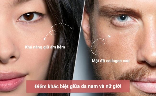 Điểm khác biệt giữa da nam và nữ giới
