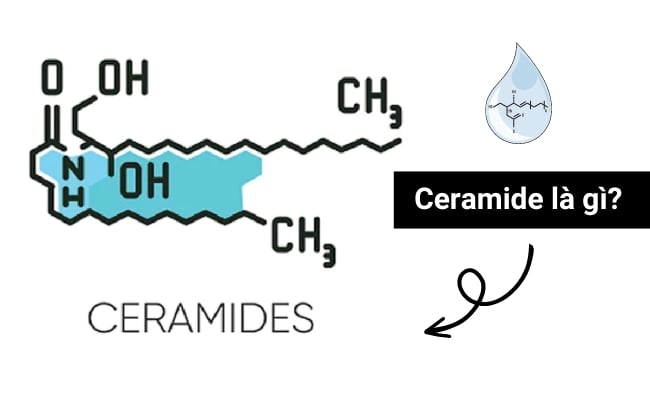 Ceramide là một loại axit béo Ceramide là gì?