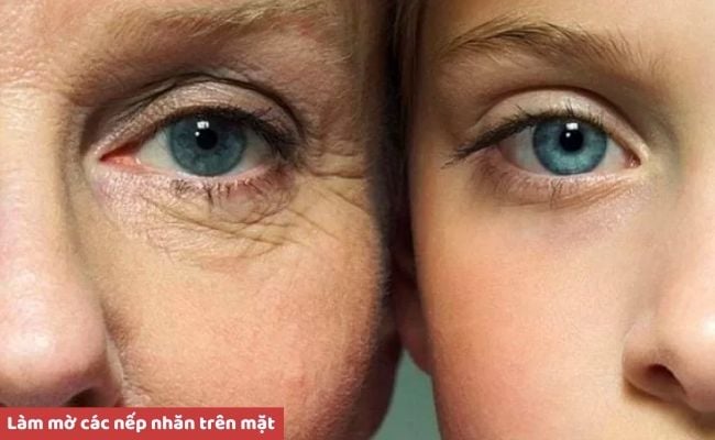 Tinh dầu hoa oải hương có tác dụng gì?