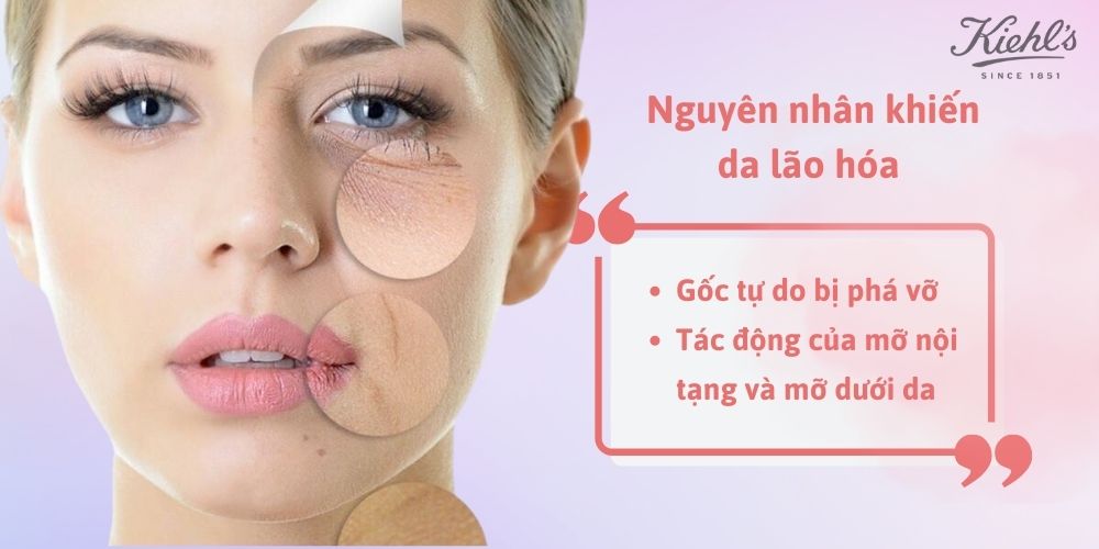 Nguyên nhân khiến da lão hóa