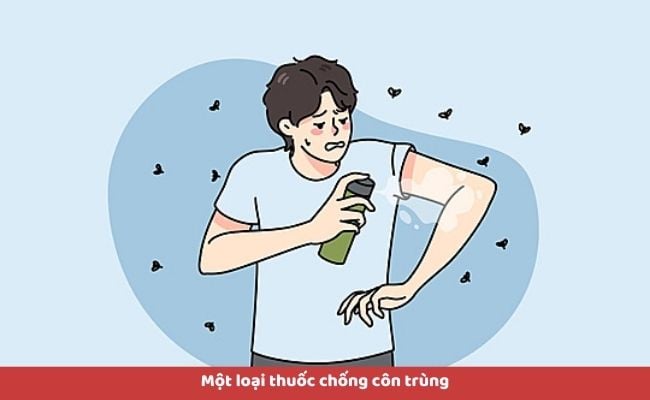 Tinh dầu hoa oải hương có tác dụng gì?
