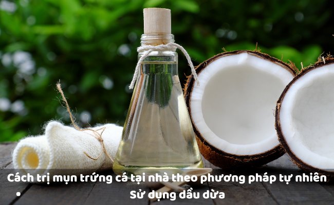 Cách trị mụn trứng cá bằng dầu dừa