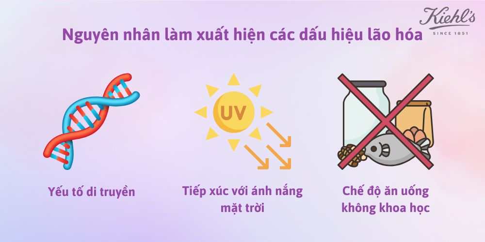 Nguyên nhân làm xuất hiện các dấu hiệu lão hóa