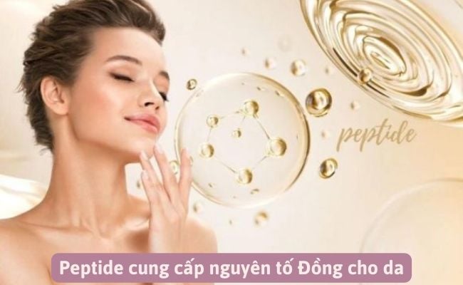 Tác dụng của Peptide là gì trong chăm sóc da?