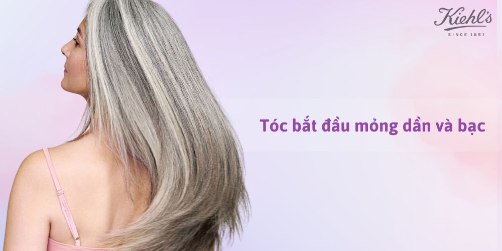 14 dấu hiệu lão hóa da thường gặp