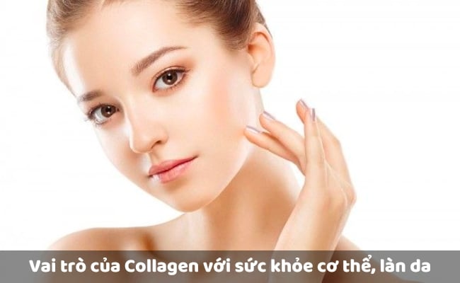 Vai trò của Collagen với sức khỏe cơ thể, làn da