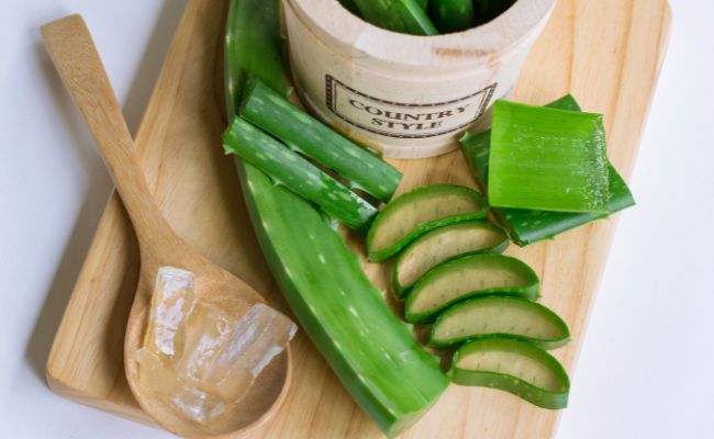 công dụng của aloe vera