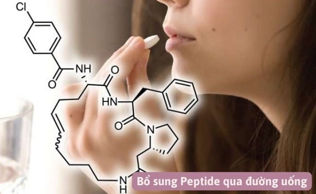 Cách bổ sung Peptide hiệu quả