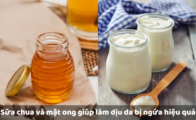 Sữa chua và mật ong giúp làm dịu da bị ngứa hiệu quả
