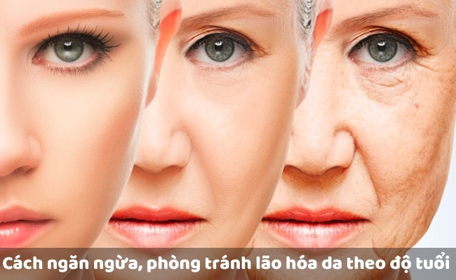 Cách ngăn ngừa, phòng tránh lão hóa da theo độ tuổi hiệu quả
