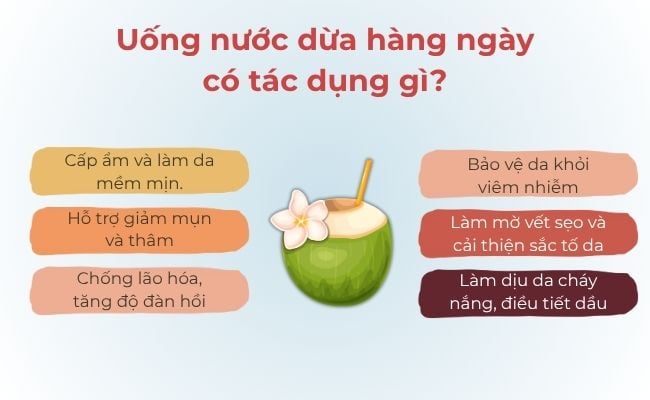 Uống nước dừa hàng ngày có tác dụng gì?
