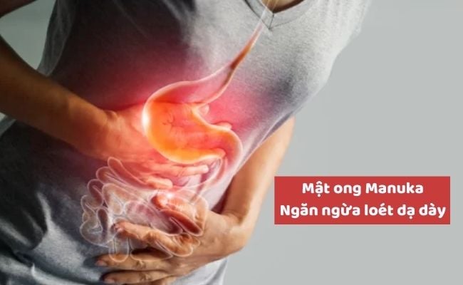 Lợi ích của mật ong Manuka là gì?