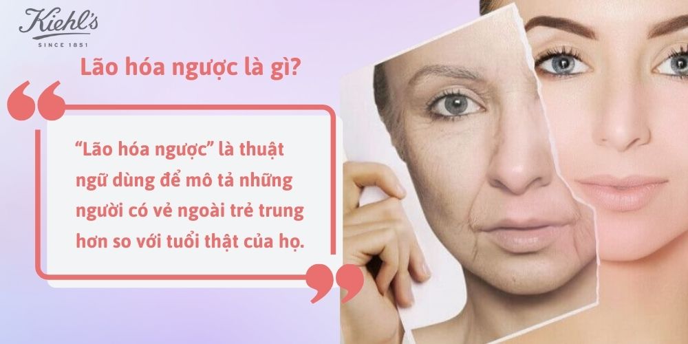 Lão hóa ngược là gì?