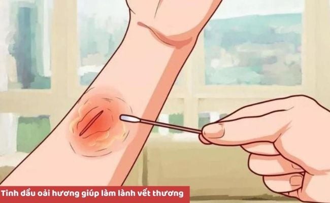Tinh dầu hoa oải hương có tác dụng gì?