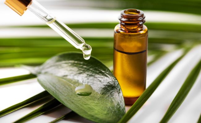 tinh dầu tràm trà là thành phần trị mụn