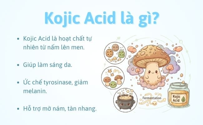 Kojic Acid là gì?