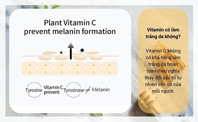 Vitamin C có khả năng ức chế quá trình sản sinh melanin, giúp làm sáng da hiệu quả