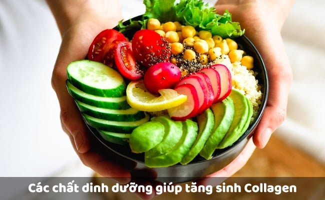 Các chất dinh dưỡng giúp tăng sinh Collagen