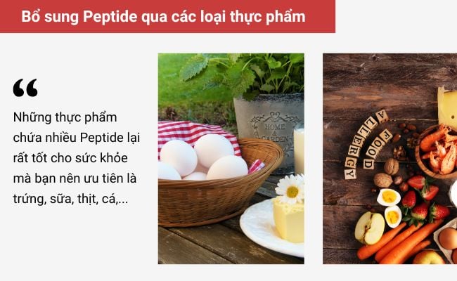 Kết hợp sử dụng thực phẩm chứa Peptide
