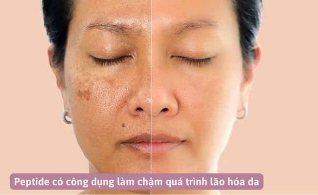 Tác dụng của Peptide là gì trong chăm sóc da?
