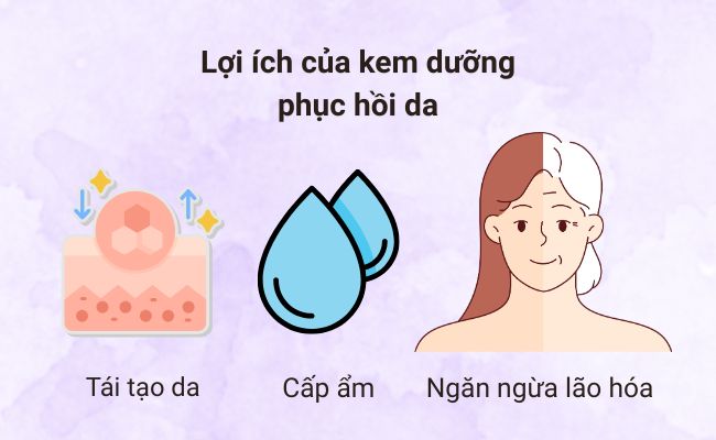 Lợi ích của kem dưỡng phục hồi da
