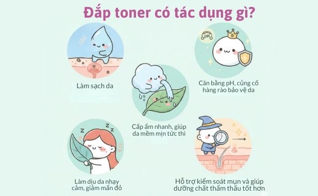 Đắp toner có tác dụng gì?