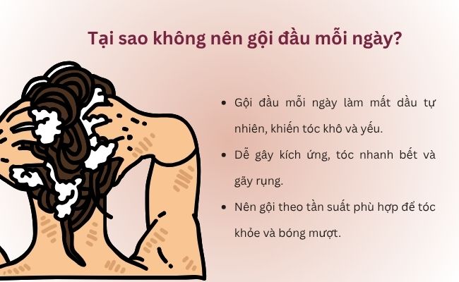 Tại sao không nên gội đầu mỗi ngày?