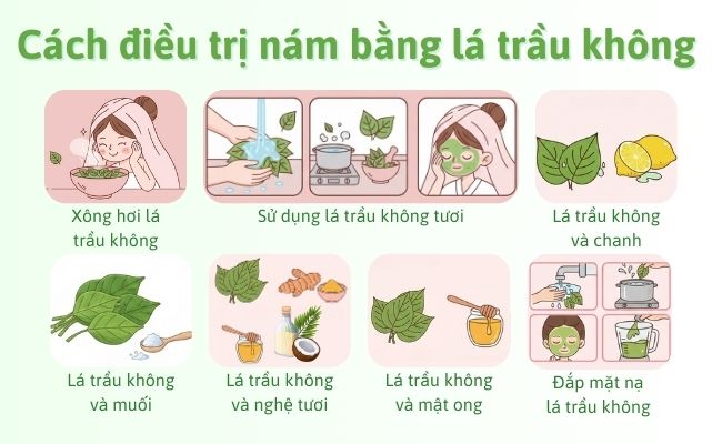 Cách điều trị nám bằng lá trầu không đơn giản, hiệu quả