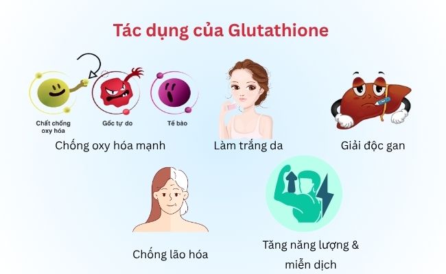 Glutathione có tác dụng gì?
